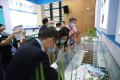 新手参加深圳大湾区国际氢能与燃料电池汽车及加氢站设备展(HFCE)展会：展位预约简化流程