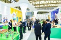 2026上海学前教育及装备展览会-中国幼教展(CPE)购票指南