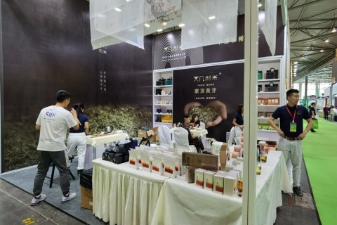 中国青岛国际茶产业博览会-青岛茶博会展会现场图片