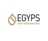 埃及开罗石油天然气展览会(Egypt Petroleum Show)2027年展位预定流程，企业参展必备步骤+避坑要点
