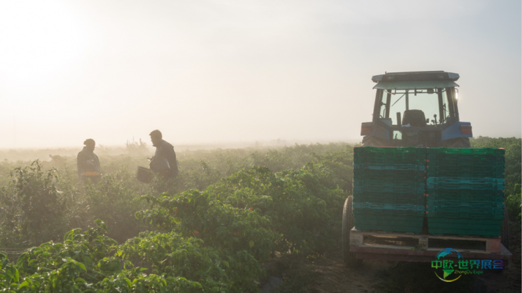 法国巴黎美食展：品味独特风味