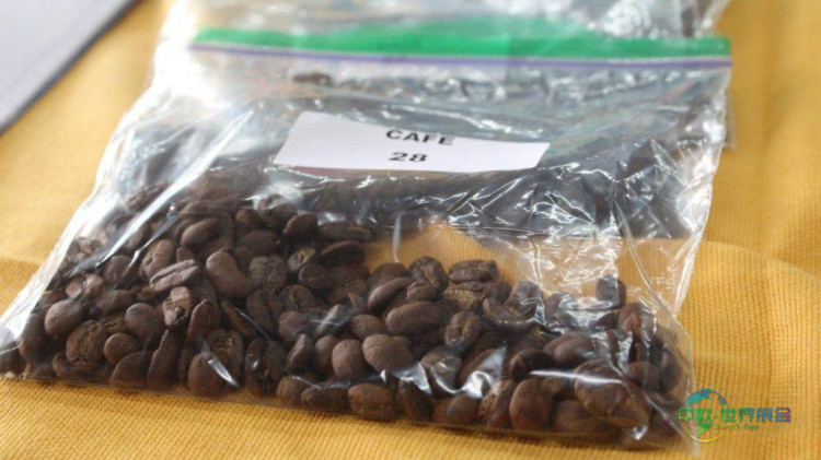 2025年墨西哥墨西哥城国际咖啡展览会：Expo Café风味奖