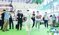 2026年郑州宠物展览会参观攻略：展会日程与票价详情