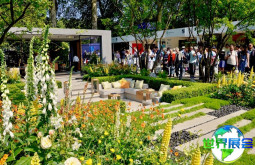 2026年英国切尔西花卉展(RHS Chelsea Flower Show)参观全攻略:日程场馆/票务详情