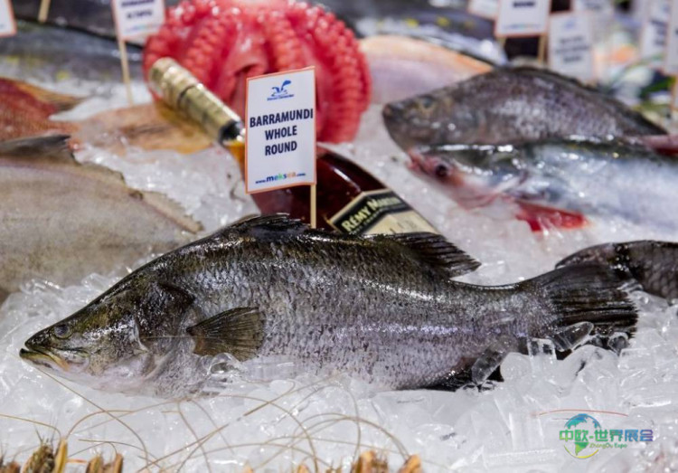 2025年越南胡志明市国际水产渔业及加工机械展览会：追求创新巅峰