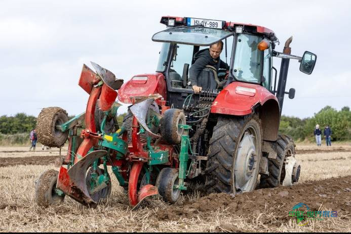 全国黑面包烘焙大赛2026回归爱尔兰奥法利国际耕作展览会增设青少年组别