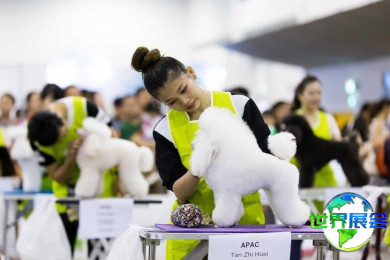 2026新加坡宠物展(SG Pet Festival)展品范围